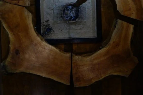 DSC09479-pv4284209zzisciz6uhkgglrna0x5oo80tcjvtrc2i