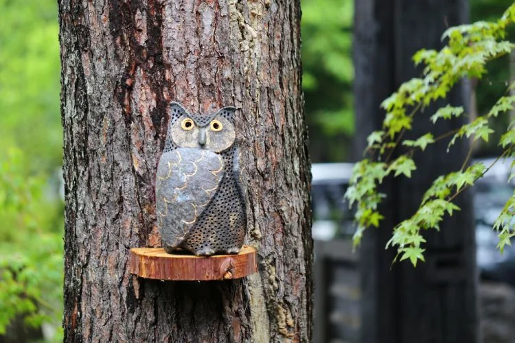 Glamping_Villa_hanz_carousel_5