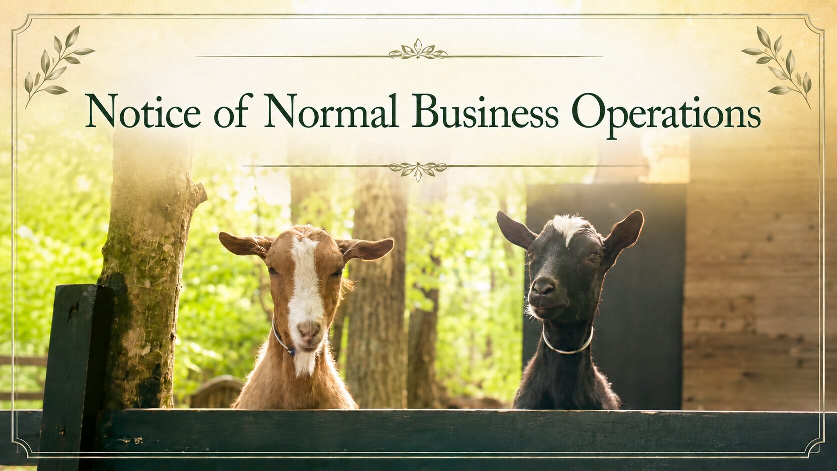 Notice of Normal Business Operations