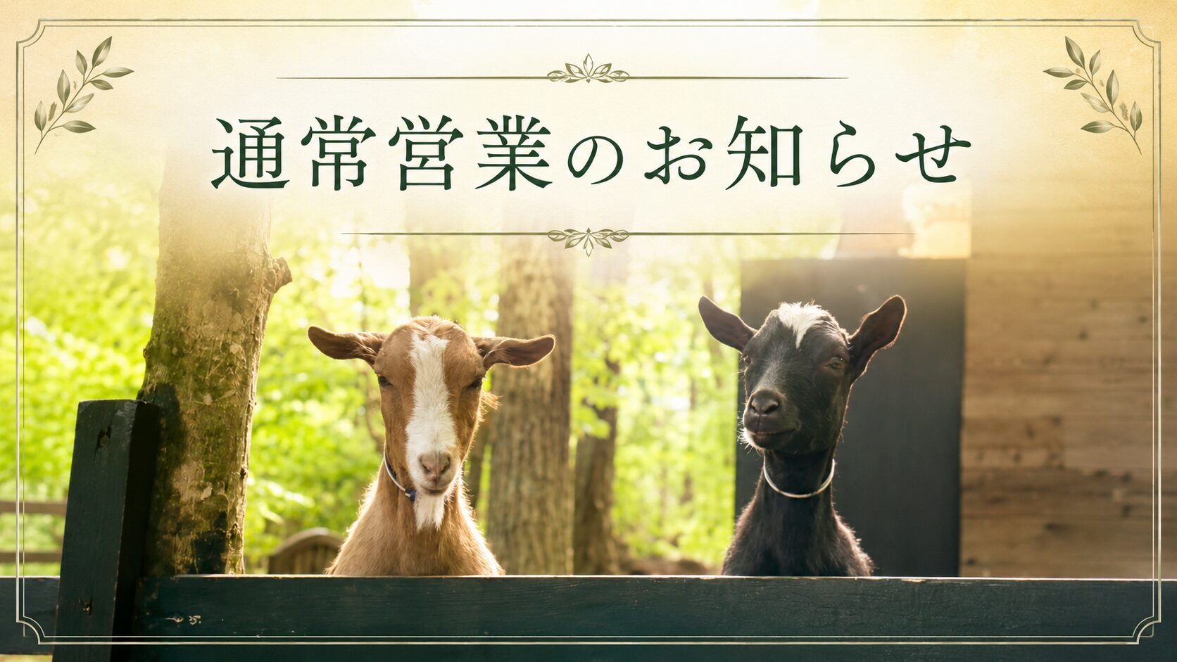 通常営業のお知らせ