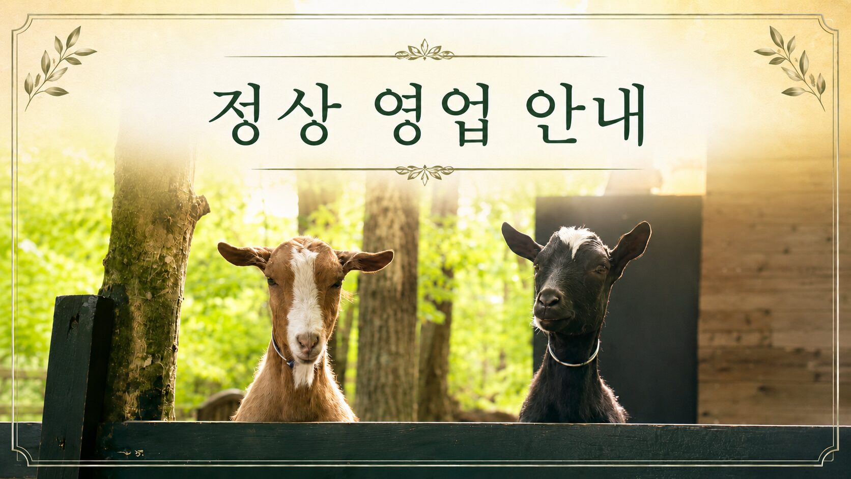 정상 영업 안내