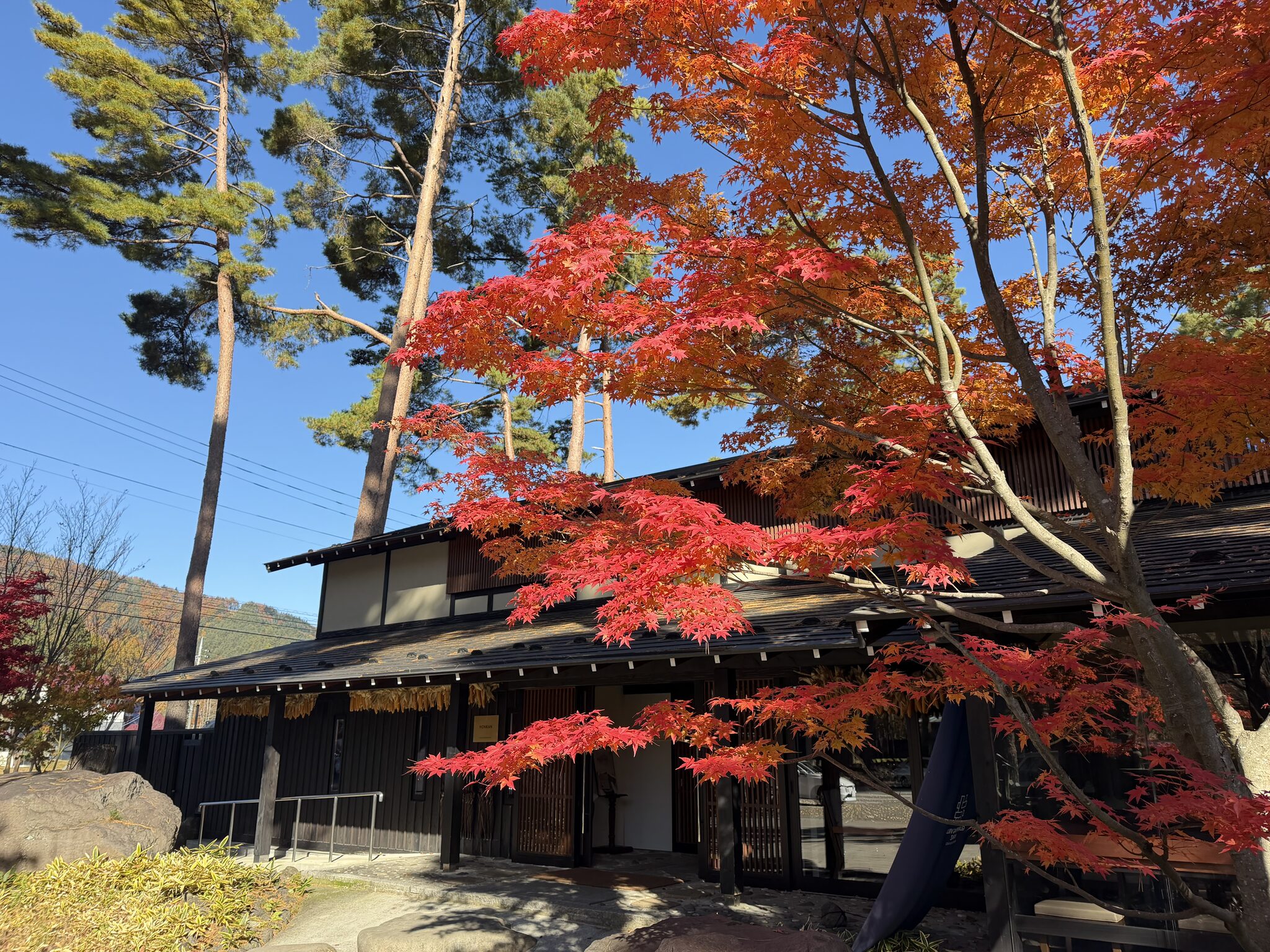 紅葉に包まれるハンズアウトドアリゾート河口湖の秋