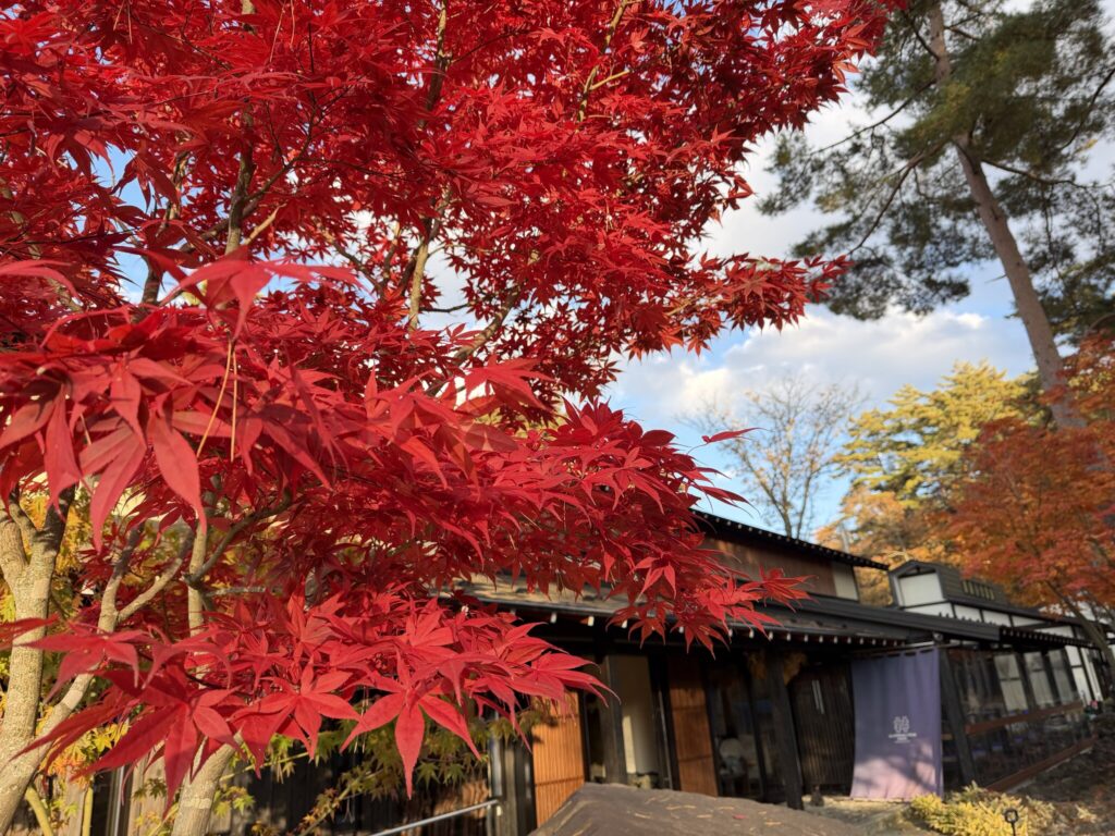 紅葉に彩られた本館｜ハンズアウトドアリゾート河口湖の秋