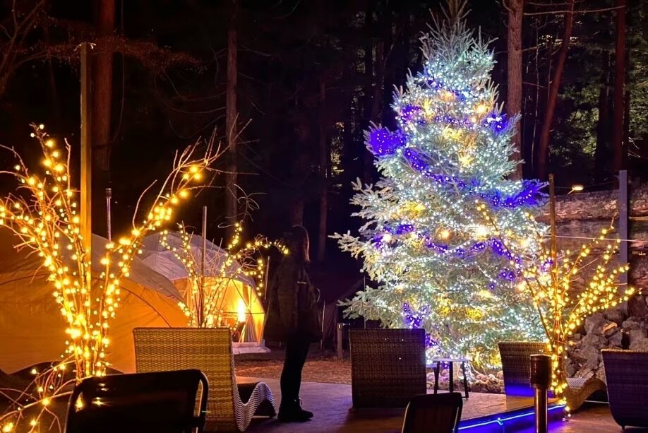 イルミネーションに彩られたクリスマスツリーと焚き火の夜｜ハンズアウトドアリゾート河口湖