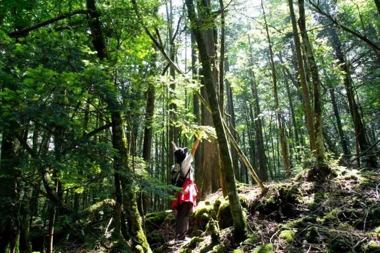 Glamping villa hanz_activites_Forest-Adventure